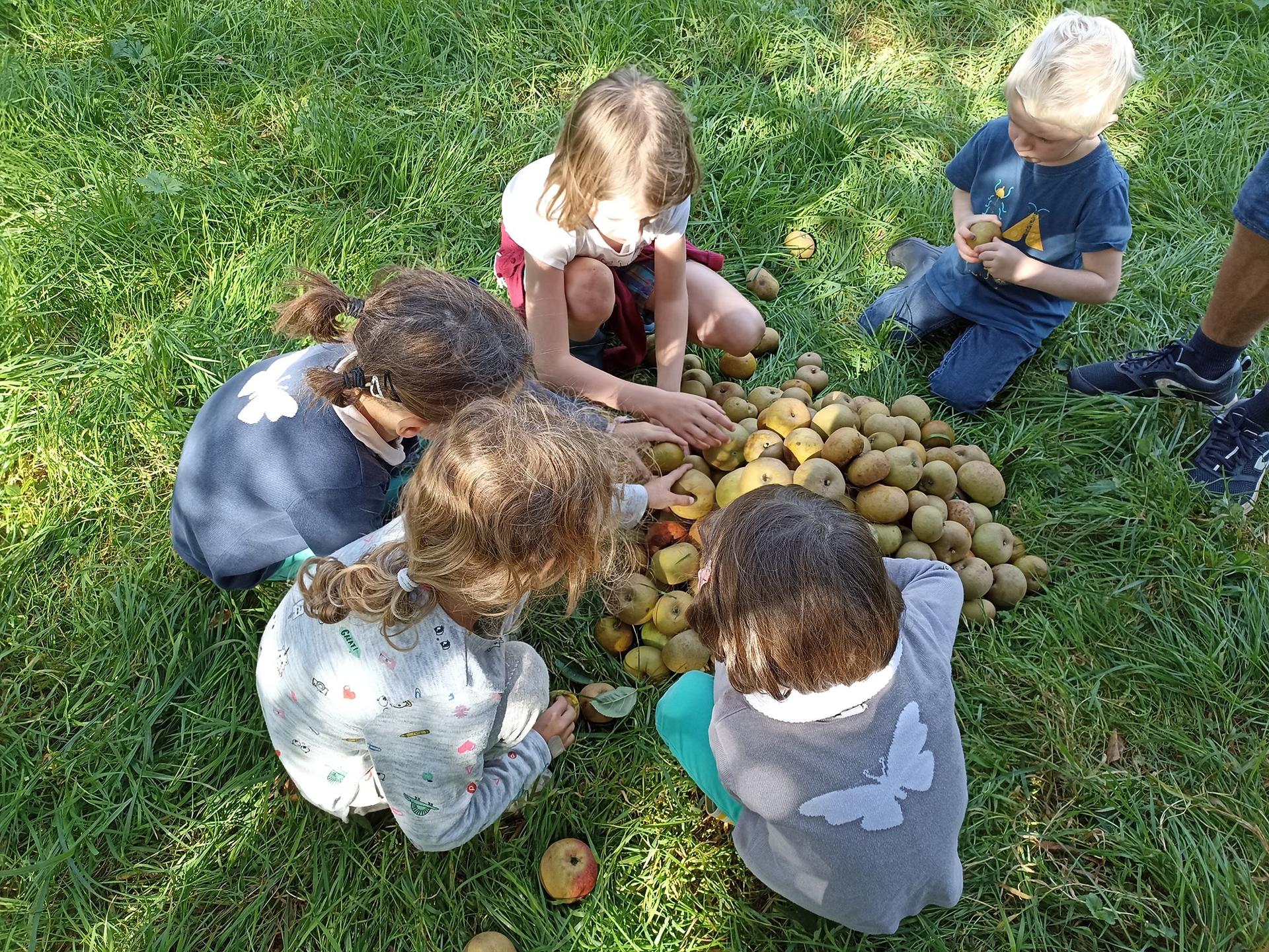 Pommes Enfants